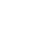 Fall Damage